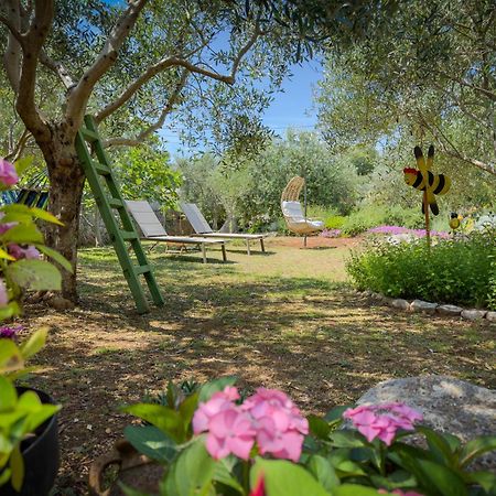 Holiday Home Lavanda Kornić Extérieur photo