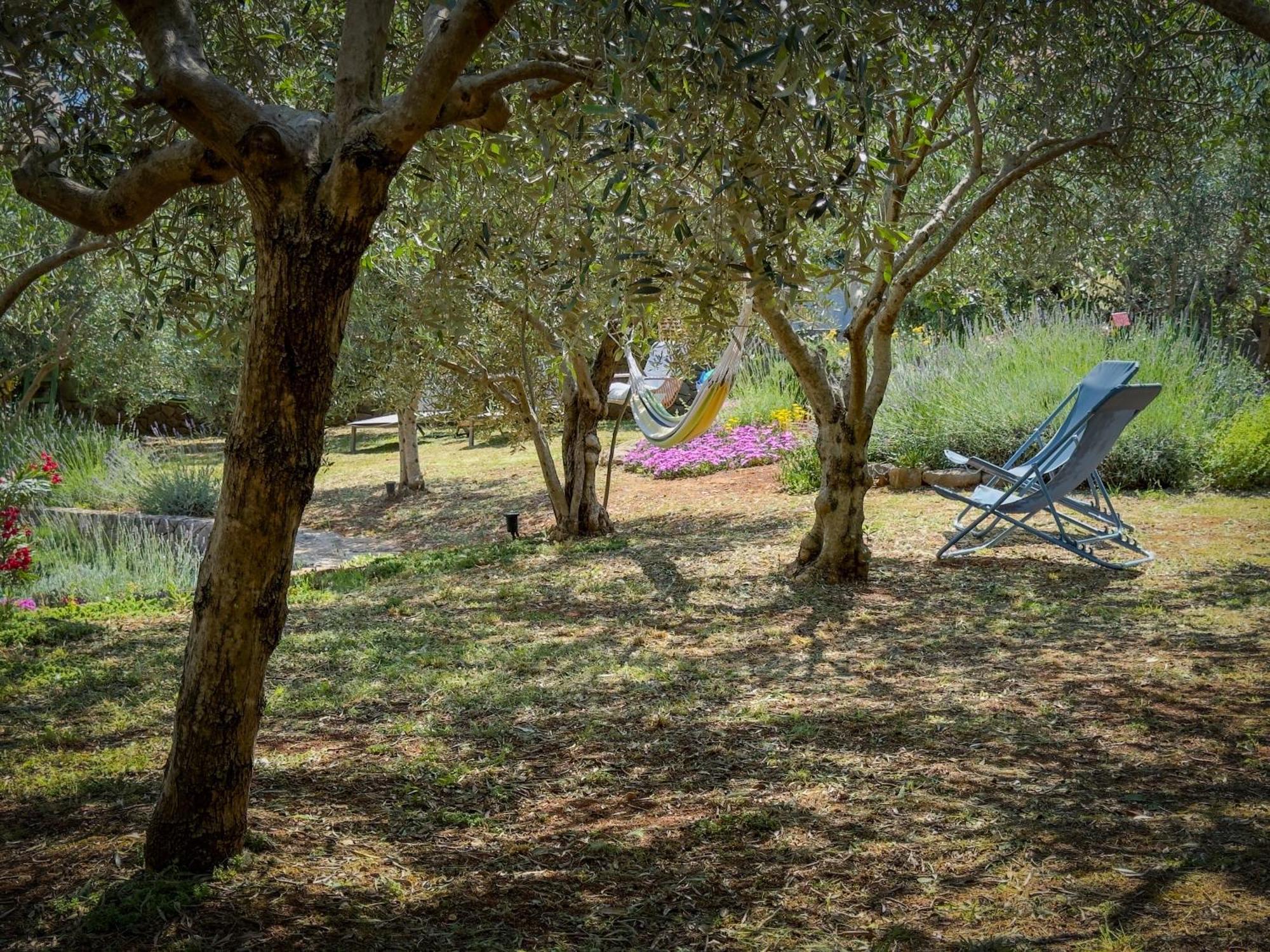 Holiday Home Lavanda Kornić Extérieur photo